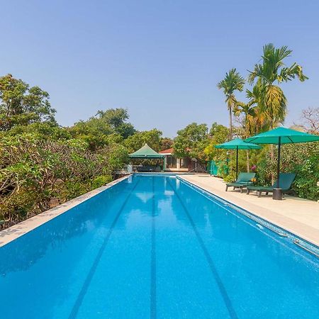 Stayvista'S Casa Palmera - Pet-Friendly Villa With Pool, Garden With Gazebo, And Indoor & Outdoor Games آليباغ المظهر الخارجي الصورة