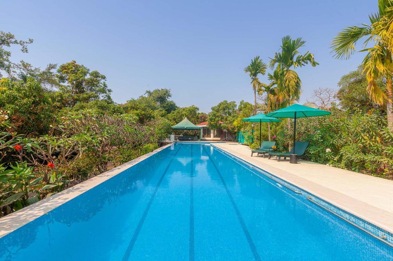 Stayvista'S Casa Palmera - Pet-Friendly Villa With Pool, Garden With Gazebo, And Indoor & Outdoor Games آليباغ المظهر الخارجي الصورة