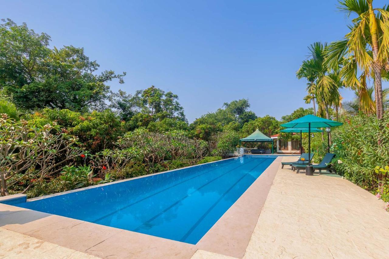 Stayvista'S Casa Palmera - Pet-Friendly Villa With Pool, Garden With Gazebo, And Indoor & Outdoor Games آليباغ المظهر الخارجي الصورة