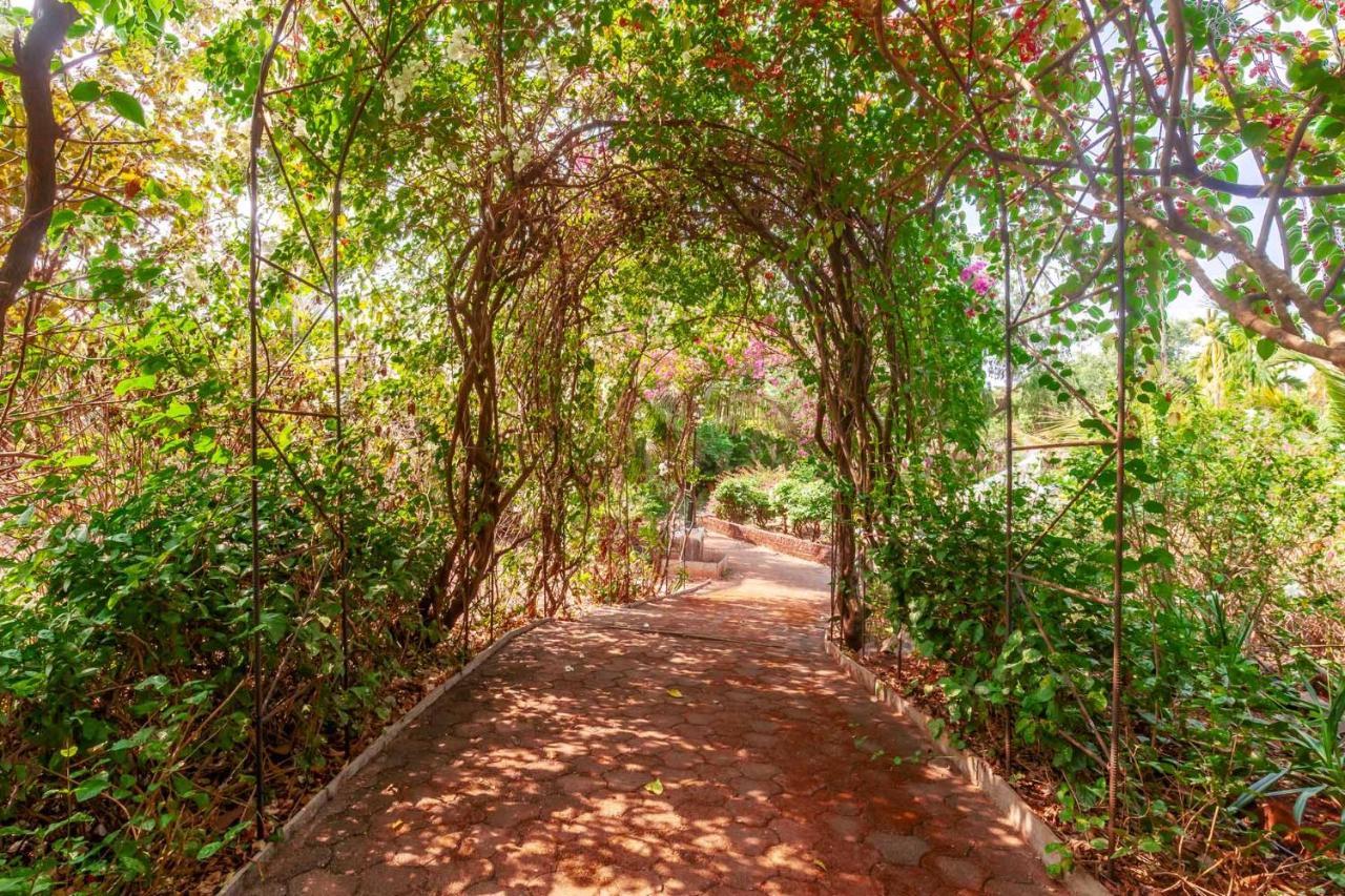 Stayvista'S Casa Palmera - Pet-Friendly Villa With Pool, Garden With Gazebo, And Indoor & Outdoor Games آليباغ المظهر الخارجي الصورة