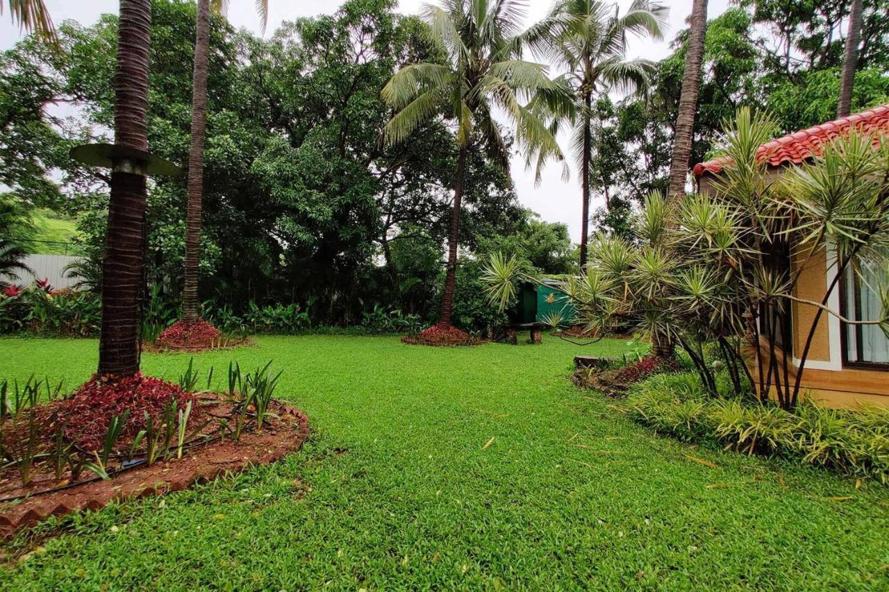 Stayvista'S Casa Palmera - Pet-Friendly Villa With Pool, Garden With Gazebo, And Indoor & Outdoor Games آليباغ المظهر الخارجي الصورة